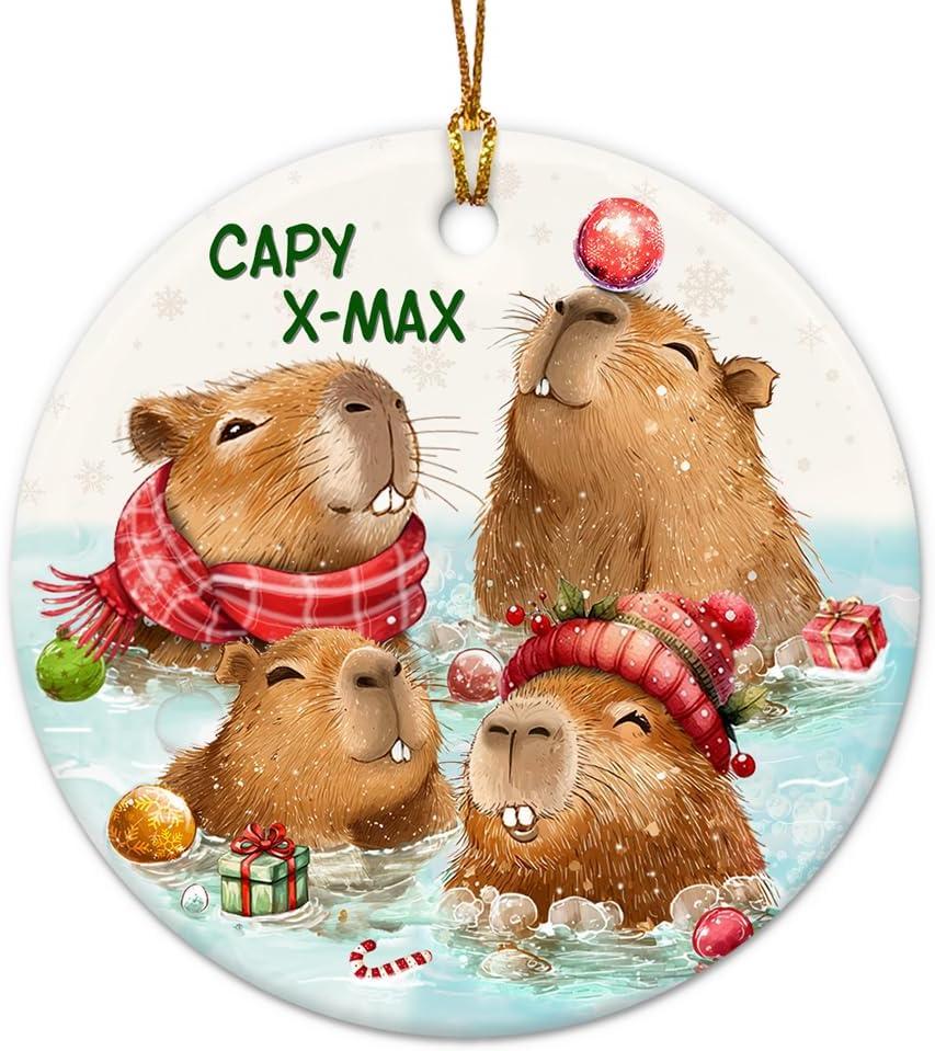 Funny Capybara Christmas Ornament 2025  Cute Capybara Gifts for Girls, Capybara Lovers  Animal Lover Gifts for Women, Daughter, Son, Family, Friends, Ceramic Hanging Ornament, Kids Stocking Stuffer