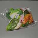 16Pcs Dog Toys Looks Like Real Food Dog Toys for Aggressive Chewers Dogs Teething Toy for Puppies Cute Puppy