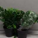 Whonline 2pcs Fake Hanging Plants, Artificial Potted Plants for Indoor Outdoor Aesthetic Office Living Room Shelf Decor