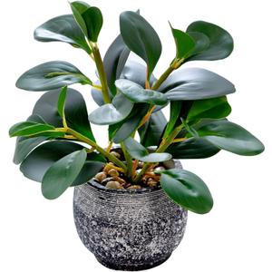 AlphaAcc Artificial Plants Potted Real Looking Small Faux Plant with Rustic Black Cement Planter for Kitchen Office Desk Bookshelf Decor (Ficus Plant)