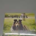 Sheltie Calendar 2025 Shetland Sheepdogs Monthly Wall Calender 12 Month | American Made In The USA