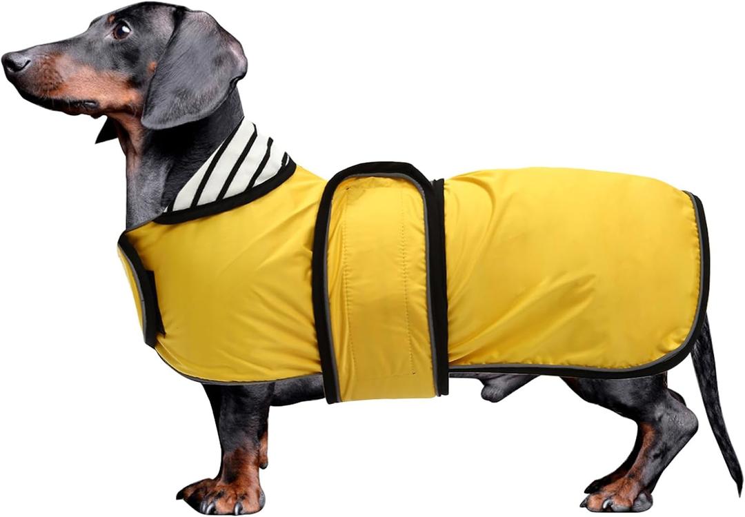 Dachshund Raincoat Corgi Raincoat Dogs Waterproof fit for Dachshunds Weiner Long Back Breeds with Reflective Stripe Great Coverage in Autumn Winter - Yellow - S