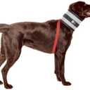 Collar, 8" W x 32" L