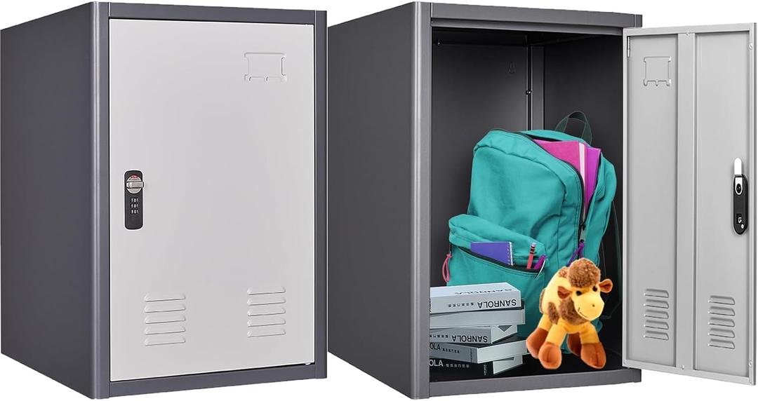 20" H Metal Locker Storage Cabinet, Lockable Cabinet, Small Lockerfor Employees, Lockable 1 Door with 2 Hooks Organizer for Bedroom, School, Office, Playroom, Daycare, Garage