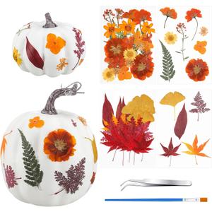 54 Pcs DIY Fall Pumpkins Craft Sets Includes 2 White Artificial Pumpkins 50 Pcs Dried Pressed Flowers Leaves 1 Tweezers and 1 Scissors for Autumn Fall Thanksgiving Holiday Decoration