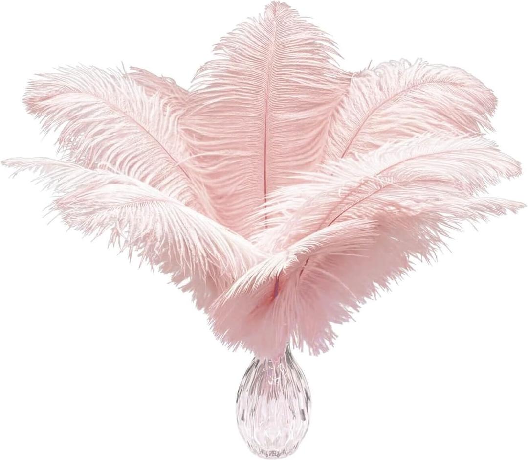 Piokio 20pcs Natural Light Pink Ostrich Feathers 10-12 inch (25-30cm) Bulk Feathers for Home Decoration and DIY Clothing and DIY Clothes Decoration, Gatsby Decorations