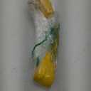 Welder Adapter Cord,NEMA 14-50P Male to 6-50R Female,RV Plug 50 Amp 4 Prong to 3 Prong Welder Plug Adapter,50 Amp 125/250V Electrical Welding Power Adaptor, Heavy Duty STW 8 AWG,12500 Watt,ETL Listed