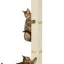 Cat Window Perch with Scratching Post, Cat Hammock for Window with 2 Suction Cups, Sisal Tall Cats Scratching Post with Large Perch, Cats Window Bed with Fuffy Cushion, Sisal