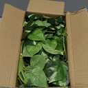 Fake Pothos Hanging Plants - 33" Set of 2 Artificial Silk Ivy Vines with Pots, Realistic Faux Greenery for Indoor Home Office Bathroom Decor, Low Maintenance Hanging Plant Decoration - Golden Green