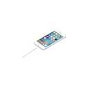 Apple Lightning to USB Cable (1 m)