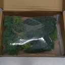 36 Pieces 1.36-6 inch Mixed Model Trees Train Scenery Architecture Tree Fake Trees for DIY Crafts, Building Model, Scenery Landscape Natural Green