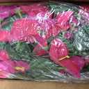 Artificial Bougainvillea Hanging Flowers Plants - 2 PCS faux Bougainvillea flowers with Long Trailing Vines for Outdoor Decoration, Perfect for Porch, Urn Patio Balcony (Rose Red & Red Lotus Mix)