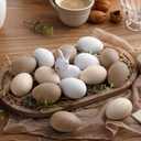 Gejoy 24 Pcs Easter Speckled Eggs Textured Plastic Eggs Neutral Easter Decor Pastel Fake Chicken Eggs Easter Bowl Basket Vase Fillers Rustic Spring Easter Decor for Home Table Egg Hunts (Textured)