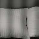 MIULEE 18x18 Pillow Inserts, Firm and Fluffy Decorative Square Throw Pillows for Couch Sofa Bed, Down Alternative with 100% Cotton Cover Pack of 2