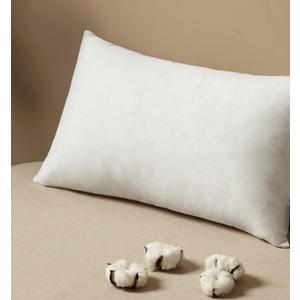 Pillow, 17×38 In