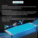 Powerscale Ozone Generator 60,000 mg/h, Compact, 10s Safety Evacuation, Precision Electronic Control, O3 Odor Eliminator for Home, Car, Pet Smell, and Basement up to 2600 Sq.Ft - OZA1, Black