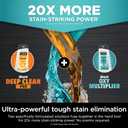 Shark StainStriker Portable Carpet, Upholstery & Area Rug Cleaner with Pet Mess Extractor, Stain & Odor Remover, Perfect for Car Interiors, White, PX201