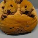 Capybara Plush, Soft Stuffed Animal Pillow Toy, Capybara Mommy with 4 Baby Plushies Family Set, Cute Birthday Gift for Kids Boys Girls Adults