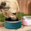 YINGFAN Dog Bowl Durable Non-Slip Stainless Steel Dog Bowl with Rubber Ring Heavy Duty Basic Bowls for Dogs (Blackish Green, 32oz)