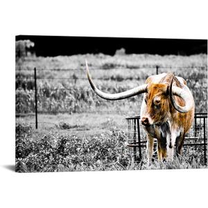Animals Canvas Wall Art Decor Highland Cow Picture Longhorn Cattle Photograph Poster Prints Rustic Black White Artwork Country Style 24x36inches