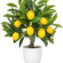 Artificial Potted Plants 15.7 inches Fake Lemon Tree Artificial Lemons Citrus Tree with White Pot Faux Plants Indoor for Home,Office, Living Room Table, Desk