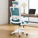 Fizzin Ergonomic Office Chair, 400 LBS Computer Chairs with Adjustable Lumbar Support, Breathable Mesh Desk Chair Ergonomic with Thickened Cushion, Comfy Home Office Desk Chair (Lake Blue)