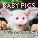 Baby Pig Calendar 2026 Wall 12 Month Piglet Gifts For Pigs Lovers Women Men Monthly Calender | American Made In The USA