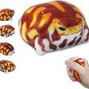 Taba Squishy Desert Rain Frog, Cute Animals Toys for Kids & Adults, Kawaii Stress Relief Fidget Sensory Toys, Soft Silicone Squeeze Gifts for Children, Teens, and Adults