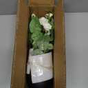 Hollyone Artificial Plants & Flowers with Vase White Roses Artificial Flowers Potted Plant Faux Silk Flower with Black Pot Fake Rose Flower Arrangement Home Decor Table Desk Decorations 15 Inch