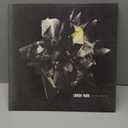 Linkin Park LIVING THINGS - Vinyl