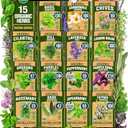 HOME GROWN Organic Herb Seeds Variety Pack - Non GMO, Heirloom 2,500+ High-Germinating Heirloom Seeds for Planting Indoor Outdoor Spring Herb Garden Hydroponics Garden Seeds, Basil Cilantro & More