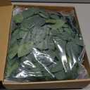 Ling's Moment Artificial Rose Leaf Greenery Garland - 6 Pack, Candle Vines, Faux Splicable 2.3ft Stems for Table Centerpieces, Lantern Rings, Hanging Backdrop Floral Arrangements & Wedding Arches