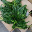 FOREST PRINCE 45" Fake Ferns, Realistic Large Artificial Bush Plants, 2 Artificial Boston Ferns with 59 Fronds for Outdoors Planter Indoor Home Garden Porch Decor