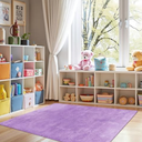 Jinchan Solid Plush Area Rug 5x7 Performance Shaggy Washable Rug Indoor Soft Modern Faux Wool Cozy Non Slip Carpet for Living Room, Kids Room, Bedroom Dining Room Nursery, Purple