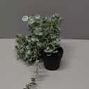 Der Rose 1Pcs Fake Plants Hanging Artificial Potted Faux Eucalyptus Plants for Modern Boho Farmhouse Bathroom Office Desk Wall Art Shelf Living Room Aesthetic Decor Indoor (Grey)