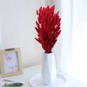 CISDUEO 120pcs Dried Bunny Tails Flowers Red Lagurus Ovatus Tail Dried Flowers Pampas Grass Natural Dried Floral Arrangement for Boho Decor Home Wedding DIY Farmhouse Table Christmas Halloween (17")