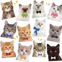 Ecally 12 Pcs Cat Magnets for Refrigerators Cruise Door Decorations Magnetic Cat Funny Magnets for Ship Door Locker Reusable Magnetic Sticker Home Kitchen Office Car