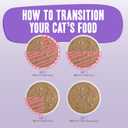 Weruva B.F.F. OMG - Best Feline Friend Oh My Gravy!, Rainbow A Gogo Variety Pack! Cat Food, 3oz Pouch (Pack of 12) (0.08 Ounce (Pack of 12))