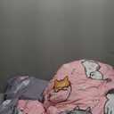 7 Piece Girls Cat Comforter Set Full Size Bed in A Bag Pink Cute Cartoon Pet Cats Bedding Set for Kids Boys Teens (1 Comforter, 1 Flat Sheet, 1 Fitted Sheet, 4 Pillow Sham) Gray