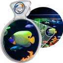 FL!PPER Flipper DeepSee Viewer MAX 5" Coral and Fish Magnifier for Reef Tank and Freshwater Aquarium Photography and Videography - Magnetic Magnifying Glass (Clear)