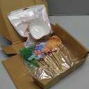 Honeydak 48 Pcs Watercolor Dinosaur Cupcake Toppers Kit 24 Dino Cake Topper Picks and 24 Foil Cupcake Liners Cute Dinosaur Cake Decoration for Jurassic Dino Theme Baby Shower Birthday Party Decor