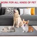 48" x 32" XXXL Largest Pet Food Mat, Silicone Dog Mats for Food and Water, Nonslip Pet Feeding Mats for Floors,Dog Cat Bowl Mat with Raised Edges, Beige