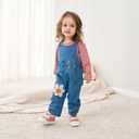 Cute Baby Girls Clothes Toddler Girls Long-Sleeve T-shirt+Denim Overalls Pants Outfits Infant Girl 0-2 Years Clothes (Pink, 6-12 Months)