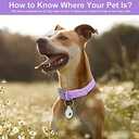 Wisedog Waterproof Dog Collar, Adjustable Soft Rubber Coated Webbing, Odor-Proof and Easy to Clean for Small Medium Large Dogs, with Airtags Case(XS|7"-10"  1/2 in, Lilac)