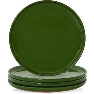 10.25-Inch Dinner Plates Set of 4, Dual Glaze Stoneware Plates, Microwave and Dishwasher Safe, Ceramic Plates for Everyday Dining, Forest Glaze Green