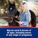 Farnam IverCare (ivermectin Paste) 1.87% for Horses, Anthelmintic and Boticide, 0.21 Ounces, Horse Dewormer, Ivermectin Apple-Flavored Paste, Up to 1,250 lbs