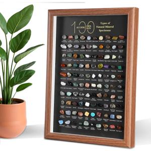 100 Pcs Crystals and Healing Stones Bulk Natural Mineral Specimen Shadow Box Polished Multicolor Healing Stone Set Collection for Home Decoration and Gift Giving