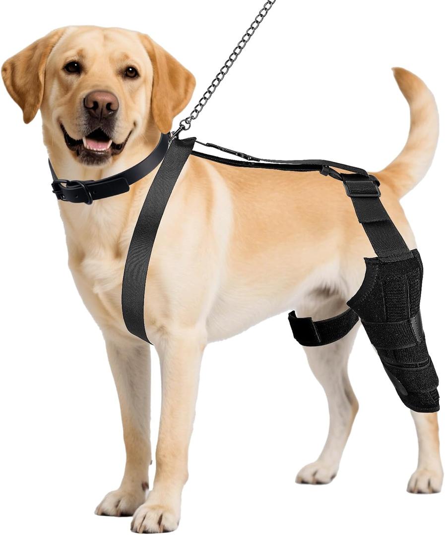 Dog Knee Brace for Back Leg, Adjustable Dog Leg Brace for Torn ACL Hind Leg Support, Joint Stability, Injury Recovery, Pain Relief, Dogs Rear Leg Wrap Harness Set with Collar and Leash (Large)