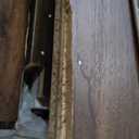 Sauder Select Book Shelf, Bookshelf with Storage, Library Bookcase with Doors and Adjustable Shelves, in Grand Walnut