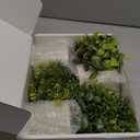 Der Rose 3 Pack Mini Potted Fake Plants Artificial Plastic Eucalyptus Plants Topiaries for Home Office Desk Farmhouse Shelf Room Bathroom Decor(Green)